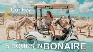 6 Places to Visit in Bonaire with a Golf Cart  Southern Bonaire Tour  5 Hours at Cruise Port Stop [upl. by Ynahteb]