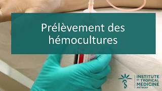 Prélèvement des hémocultures V1 [upl. by Lindsy]