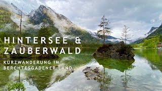 Der wunderschöne Hintersee amp Zauberwald bei Ramsau  Berchtesgadener Land  kleine Wanderung  4K [upl. by Noira632]