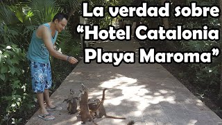 Hotel Catalonia Playa Maroma ⭐ GUIA COMPLETA  Hoteles Riviera Maya [upl. by Iras]