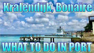 Walking in Kralendijk Bonaire  What to Do on Your Day in Port [upl. by Tess54]