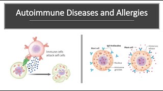 Autoimmune Diseases and Allergies [upl. by Waylen]