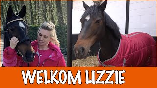 Een nieuwe pony in de PAARDENPRAATfamilie  PaardenpraatTV [upl. by Anema]