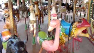 audubon zoo carousel [upl. by Gizela63]