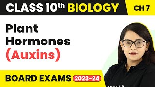 Plant Hormones Auxins  Control and Coordination  Class 10 Biology [upl. by Gensmer]