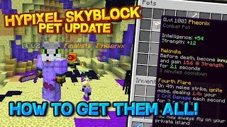 HOW and WHERE to get PETS on Hypixel Skyblock  Pets Update Guide [upl. by Tiloine491]