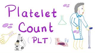 Platelet Count PLT [upl. by Hahnert]