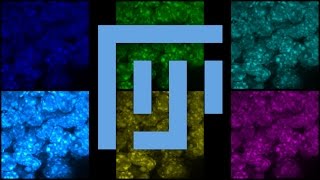 How to Change Microscope Image Color in Fiji ImageJ [upl. by Snowber983]