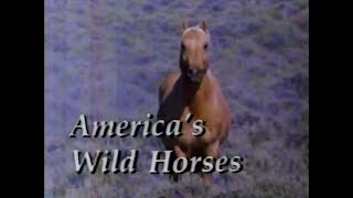 Americas Wild Horses 1987 [upl. by Anilas]