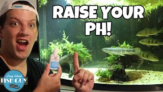 How to Raise pH in Aquarium [upl. by Emera]