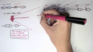 Immunology  Antibody Somatic VDJ Recombination II [upl. by Akinom]