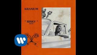 Davido x Kranium  Risky quotRefixquot Official Audio [upl. by Philis]