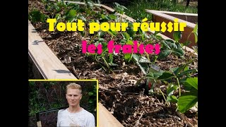 comment réussir les fraises [upl. by Steffi]