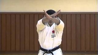 KATA  BUNKAI HEIAN GODAN [upl. by Duster]