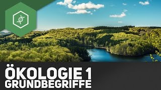 Grundbegriffe der Ökologie  Ökologie 1 [upl. by Eelaroc]