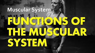 Muscular Tissues  Types And Functions I Class 9 I Learn With BYJUS [upl. by Stinson]