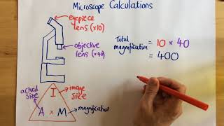 Microscope Calculations  p14 [upl. by Johanna]