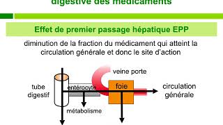 PharmacocinétiqueCours commenté [upl. by Einahpet]