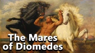 The Mares of Diomedes The ManEating Horses The Labours of Hercules  See U in History [upl. by Leor]