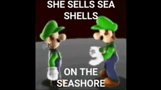 Luigi Sells Seashells By The Sea Shore 1 Hour [upl. by Fini668]