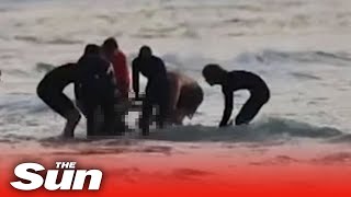 Surfer killed in shark attack on Australias Gold Coast [upl. by Letnoj]