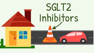 SGLT2 Inhibitors Mechanism of Action [upl. by Zurciram76]