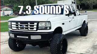 73 Powerstroke Sounds Flybys compilation [upl. by Leffert]