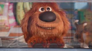 The Secret Life of Pets 2016 Meet Duke Universal Pictures [upl. by Plath]