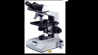 Micro Lab 3 Introduction to Compound Light Microscopy [upl. by Iliam]