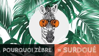 Pourquoi Zèbre  Surdoué [upl. by Gerdi]