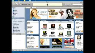 How to Buy Songs From the iTunes Store [upl. by Nnaxor]