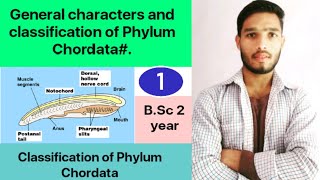 General characters and classification of Phylum Chordata  BSc 3rd Year Zoology 5th Sem 2nd paper [upl. by Rosse]