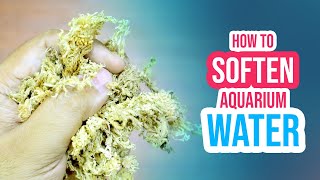 5 PRO Methods to Soften Your Aquarium Water amp REDUCE Hardness [upl. by Izak379]