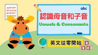 【英文從零開始】認識母音和子音｜Vowels amp Consonants｜Boro English [upl. by Ardme929]