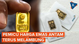 Harga Emas Antam Terus Melambung Apa Penyebabnya [upl. by Oak]