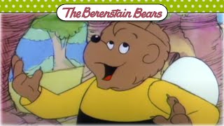 The Dancing Bees 🐝 Berenstain Bears Official [upl. by Winthrop]