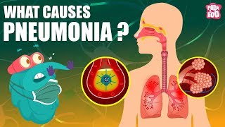 Pneumonia Symptoms Pathophysiology Nursing  Respiratory Disorders NCLEX Lecture Part 1 [upl. by Nieberg891]