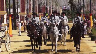 Feria del caballo 2017 Jerez de la Frontera [upl. by Fevre]