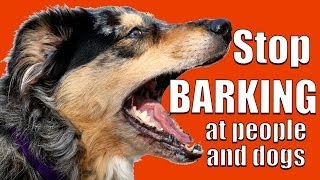 How to TEACH ANY DOG NOT to BARK at Other DOGS and PEOPLE on a Walk [upl. by Ceil]