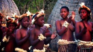 Beautiful Traditional African Zulu Dancing Africa Travel Channel [upl. by Seilenna424]