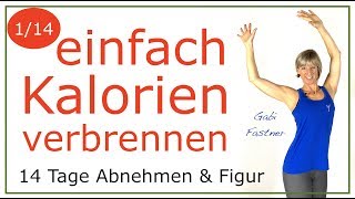 1️⃣ 32 min Ausdauertraining und Kalorien verbrennen  ohne Geräte [upl. by Stern150]