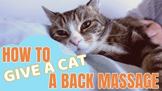 How to give a cat a back massage [upl. by Ellennaj987]