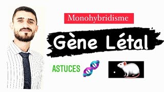 Géne létal Monohybridisme  astuces 🔥🧬 [upl. by Htebazileyram]