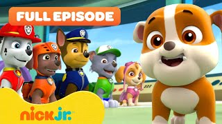 Rubble Joins the PAW Patrol and the Pups Save a Walrus  FULL EPISODES  Nick Jr [upl. by Aggarwal]