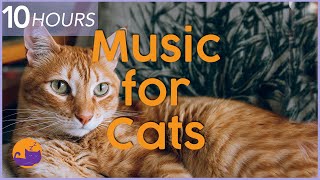 Music for Cats  10 hour Relaxing Cat Music Playlist to Help Cats Sleep and Relax 🐱 [upl. by Moishe]