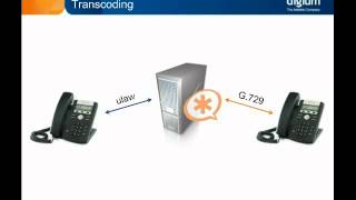 VoIP Fundamentals  Codecs [upl. by Asihtal51]