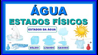 ESTADOS FÍSICOS DA ÁGUA  Vila Educativa [upl. by Aciraj211]