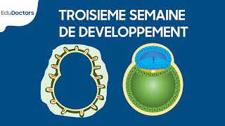 Troisième semaine de développement  Embryologie générale [upl. by Aisanahta]