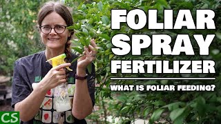 Foliar Spray Fertilizer  What is Foliar Feeding [upl. by Claudia]