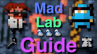 RotMG  Mad Lab Guide [upl. by Cerf634]